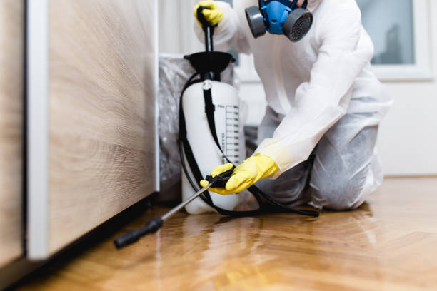 Pest Prevention Services in East Massapequa, NY