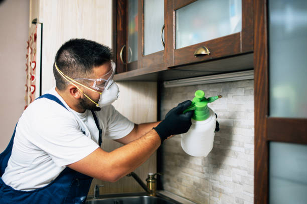 Insect Control in East Massapequa, NY