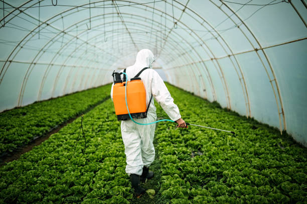 Best Residential Pest Control  in East Massapequa, NY