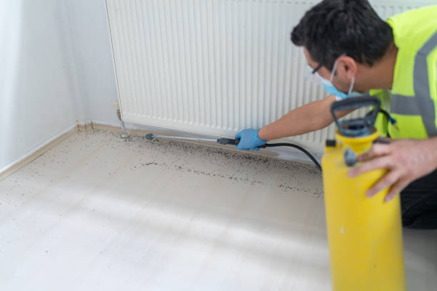 Best Pest Prevention Services  in East Massapequa, NY