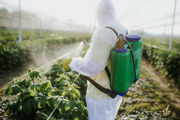 East Massapequa, NY Pest Control Company